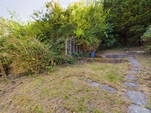 back garden - click for photo gallery